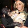 beyonce Altpins Profile Picture