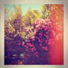beyonce Altpins Profile Picture