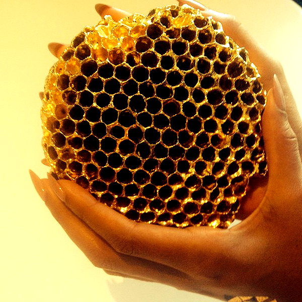 beyonce instagram image archive image