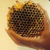 beyonce Altpins Profile Picture