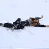 beyonce Altpins Profile Picture