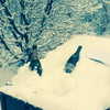 beyonce Altpins Profile Picture