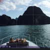 beyonce Altpins Profile Picture