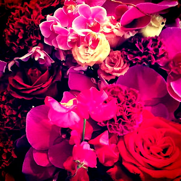 beyonce instagram image archive image