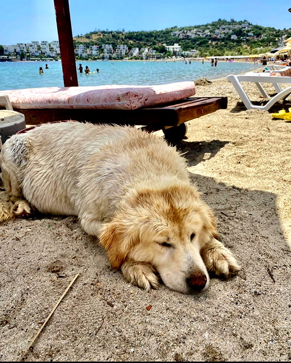 beyzapehlivanogluu instagram image archive image