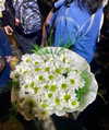 beyzapehlivanogluu Altpins Profile Picture