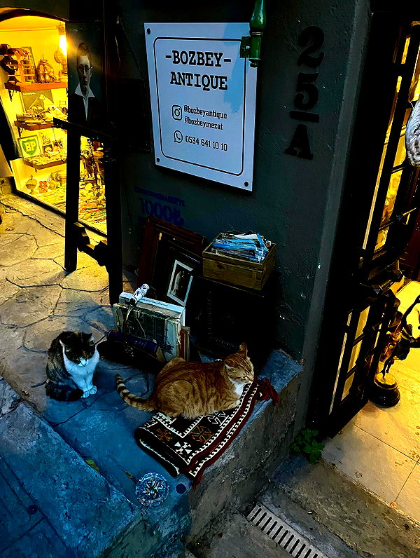beyzapehlivanogluu instagram image archive image