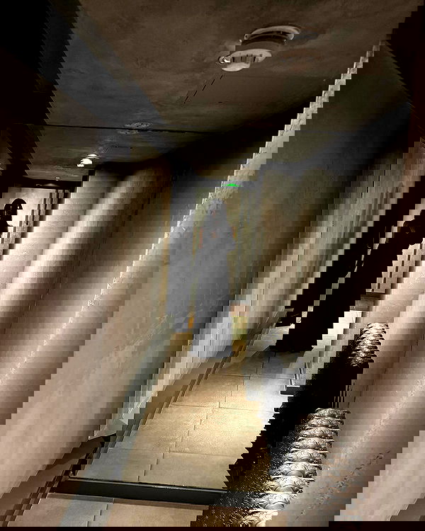 big_icky image ~ Altpins