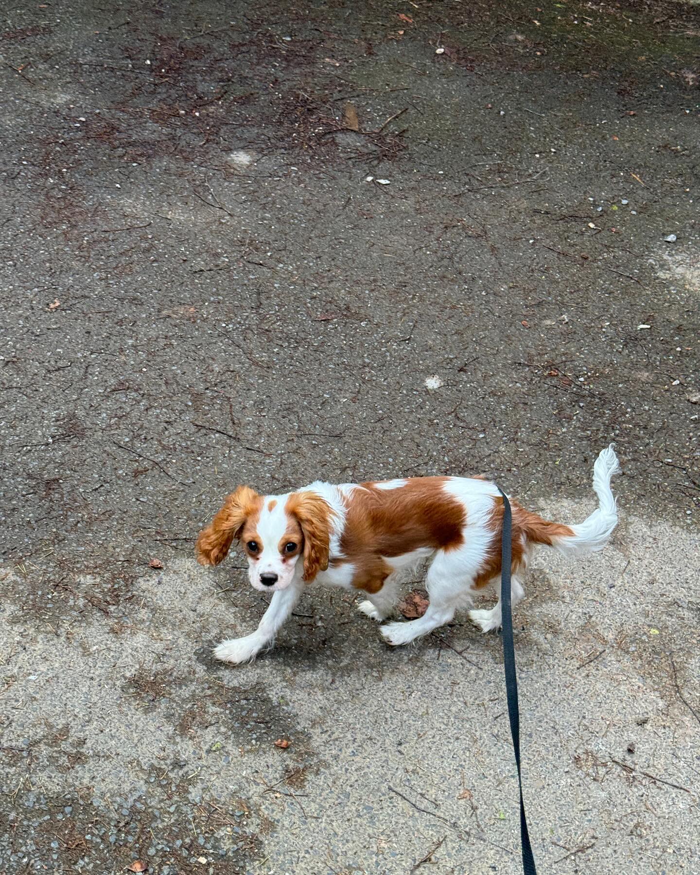 big_icky instagram image archive image