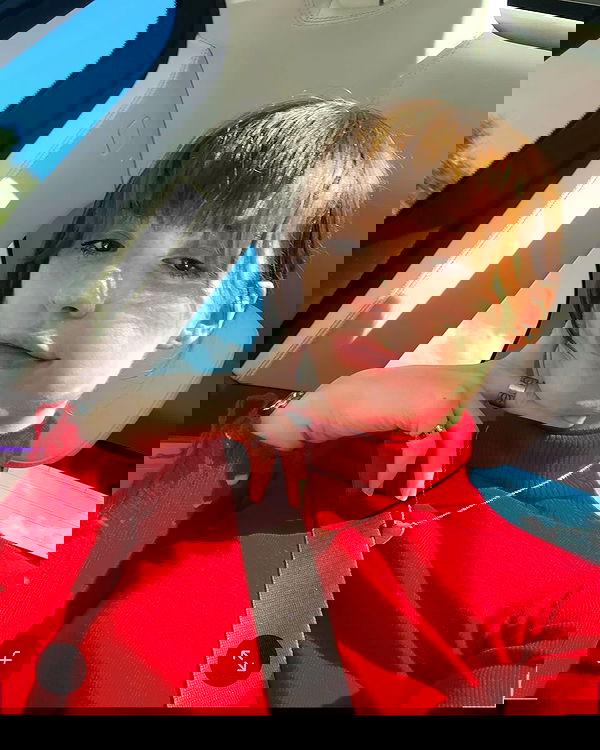 big_icky image ~ Altpins