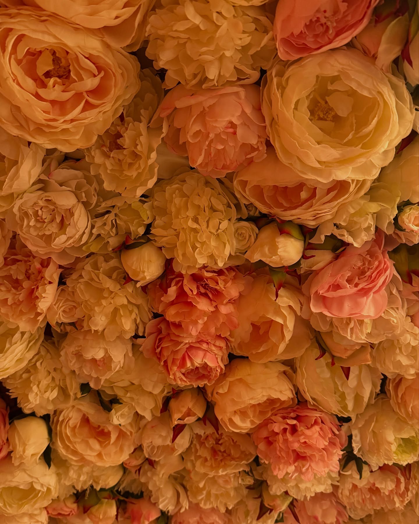 big_icky instagram image archive image