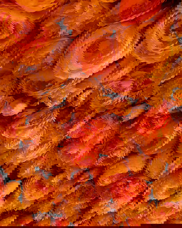 big_icky image ~ Altpins