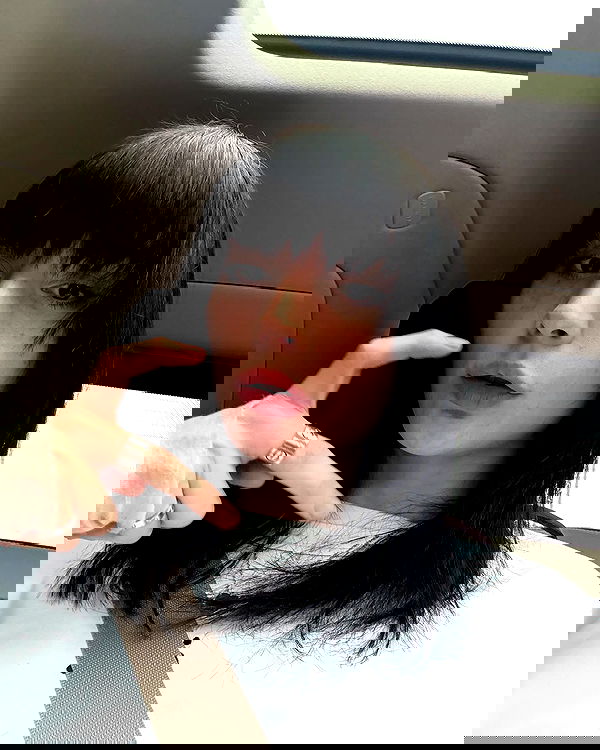 big_icky image ~ Altpins