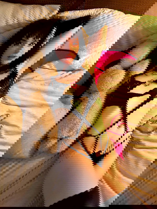 big_icky image ~ Altpins