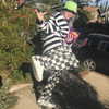 billieeilish Altpins Profile Picture