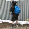 billieeilish Altpins Profile Picture