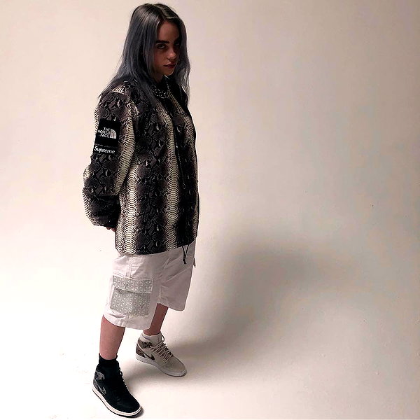 billieeilish instagram image archive image