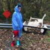 billieeilish Altpins Profile Picture