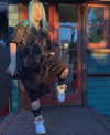 billieeilish Altpins Profile Picture