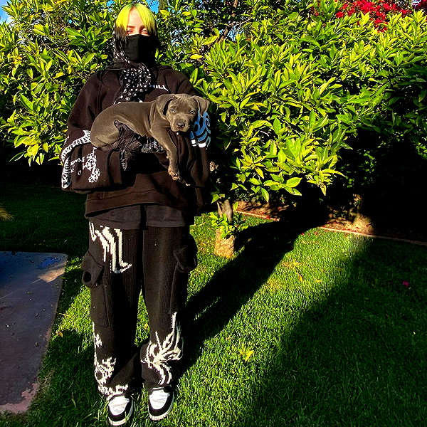 billieeilish instagram image archive image