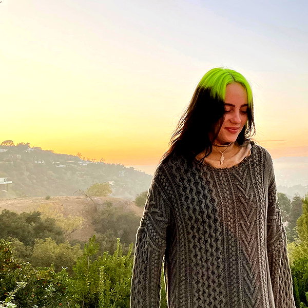 billieeilish instagram image archive image