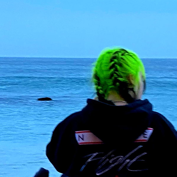 billieeilish instagram image archive image