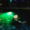 billieeilish Altpins Profile Picture