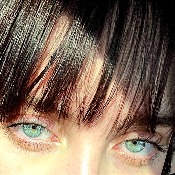 billieeilish instagram image archive image