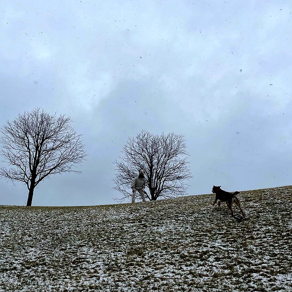 billieeilish instagram image archive image