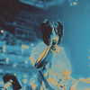 billieeilish Altpins Profile Picture