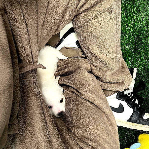 billieeilish instagram image archive image