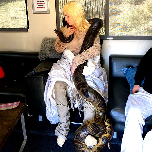 billieeilish instagram image archive image