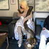 billieeilish Altpins Profile Picture