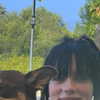 billieeilish Altpins Profile Picture