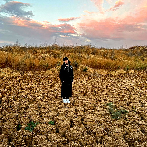 billieeilish instagram image archive image