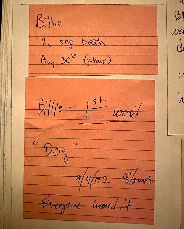 billieeilish instagram image archive image