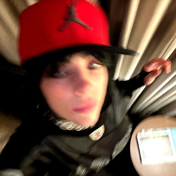 billieeilish instagram image archive image