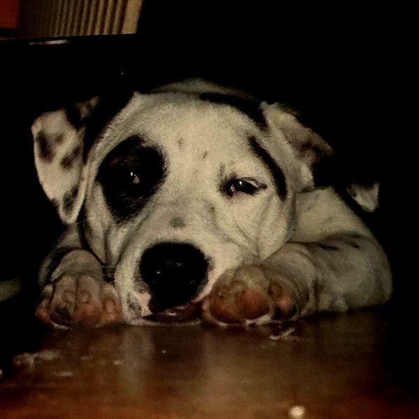 billieeilish instagram image archive image