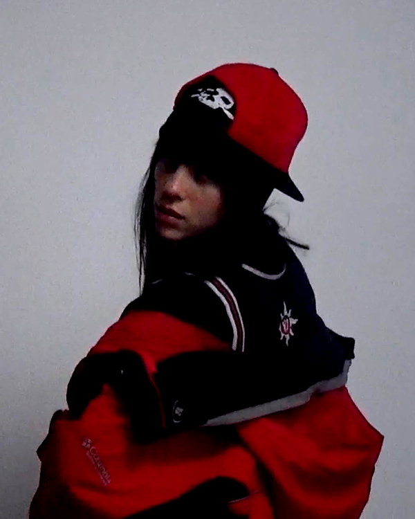 billieeilish instagram image archive image