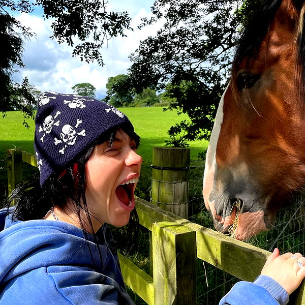 billieeilish instagram image archive image