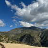 billieeilish Altpins Profile Picture