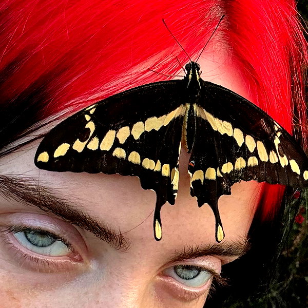 billieeilish instagram image archive image