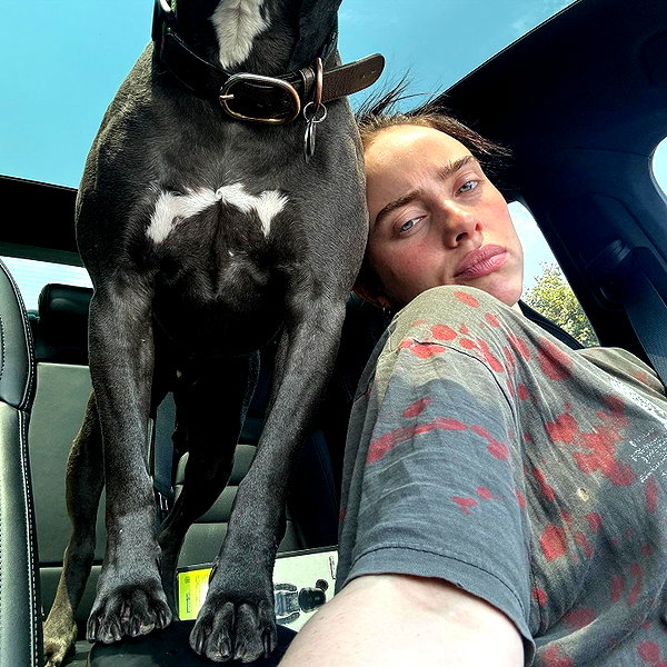 billieeilish instagram image archive image