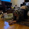 billieeilish Altpins Profile Picture
