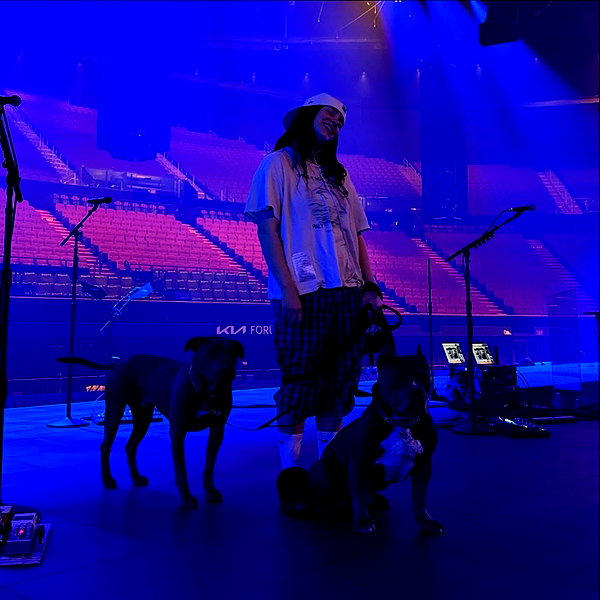 billieeilish instagram image archive image