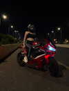 bitch_tattooist_17 Altpins Profile Picture