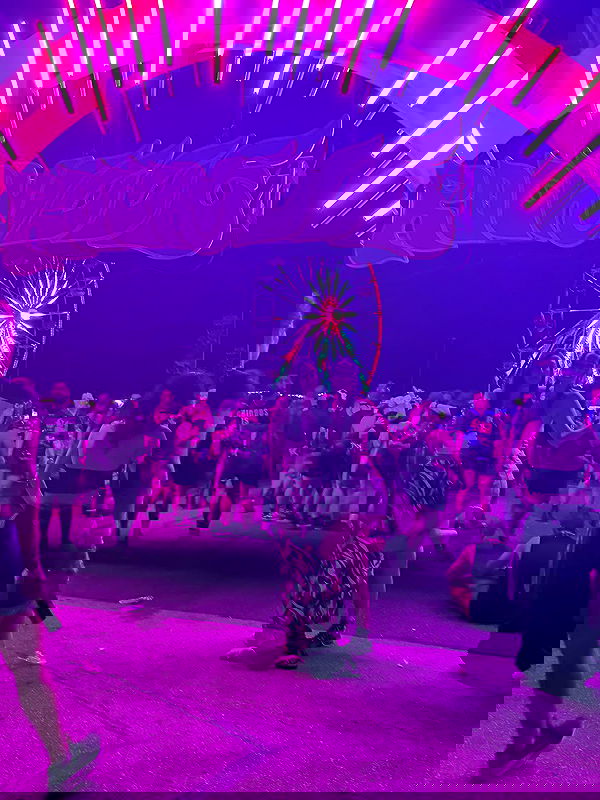 biton__adi biton__adi archive image