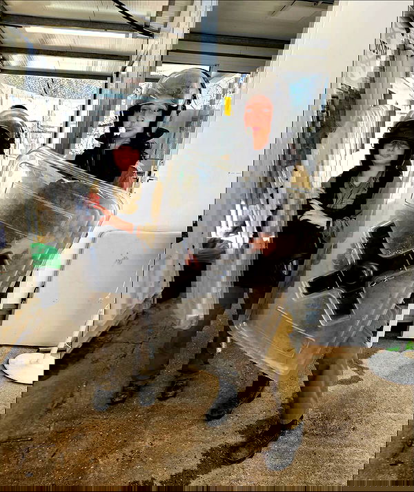 biton__adi biton__adi archive image