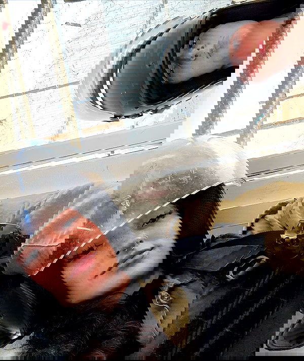 biton__adi biton__adi archive image