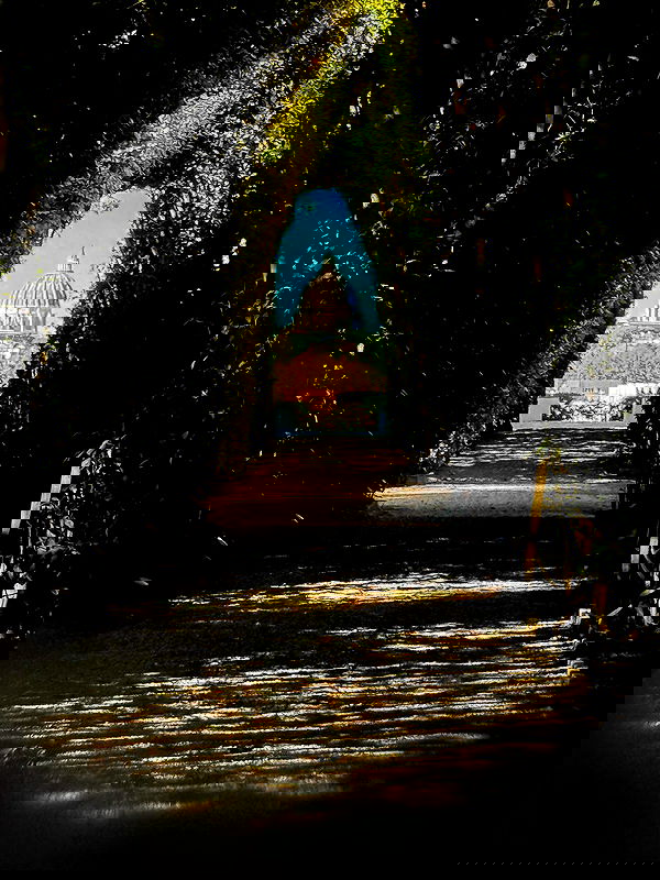 biton__adi biton__adi archive image